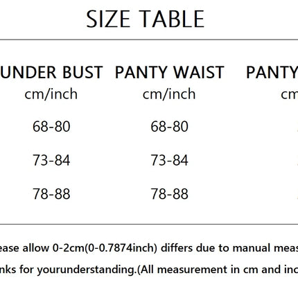 Yimunancy Choker Tassel Sexy Lingerie Set Women 5-Piece Club Brief Underwear Set Garter Kit