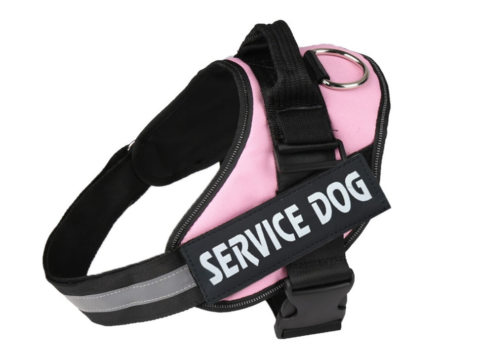 Pet chest strap with dog leash