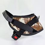 Pet chest strap with dog leash