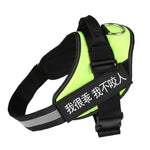 Pet chest strap with dog leash