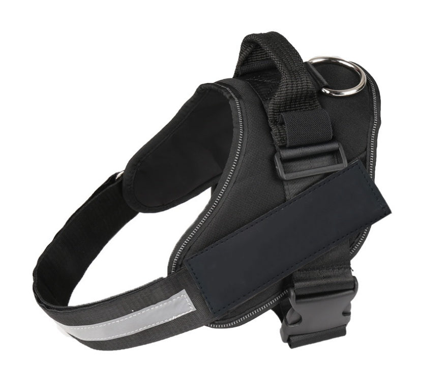 Pet chest strap with dog leash