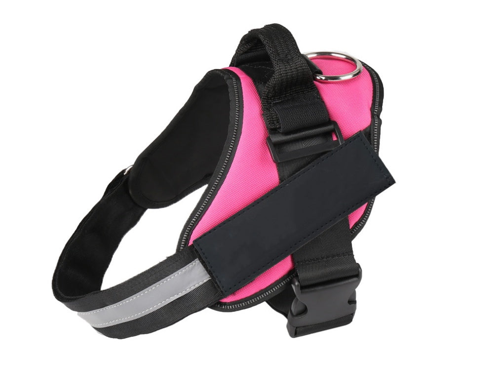 Pet chest strap with dog leash