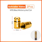 2pcs Golden-Schrader
