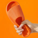 50108178006339|50108178039107|50108178071875|50108178923843|50108178956611