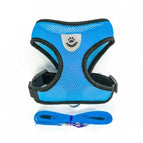 Blue / XL