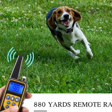 800m Digital Dog Training Collar Waterproof Rechargeable Remote Control Pet with LCD Display for All Size Shock Vibration Sound