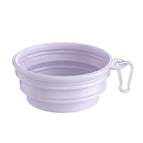650ml / Purple / CHINA