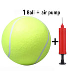 1 Ball and air pump / 24cm 9.5inch