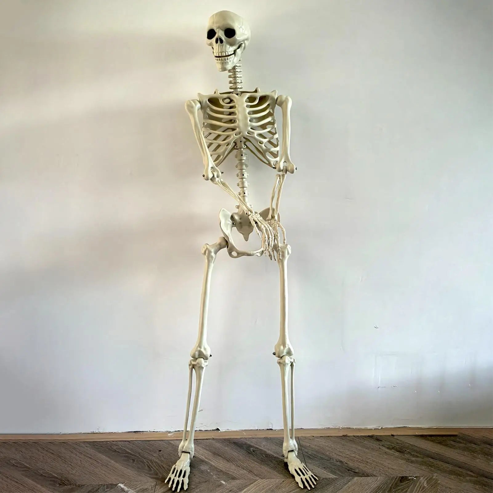 Halloween Skeleton Life Size Human Skeleton with Posable Joints Weather-Resistant Garden Decor Spooky Photo Props for Holiday