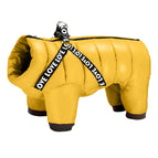 Yellow / 16