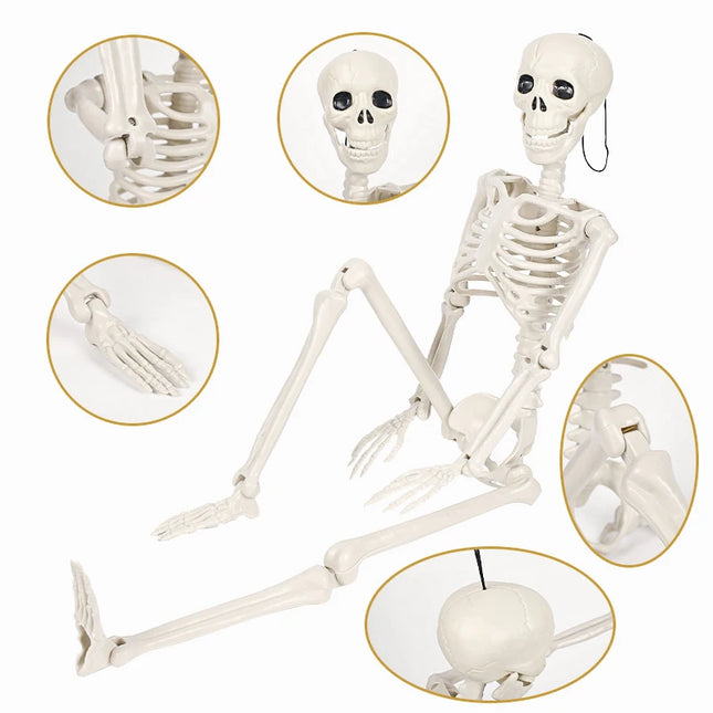 40/90cm Halloween Skeletons Fake Full Body Skull Bones Movable Halloween Party Decor for Home Bar Haunted House Horror Props