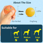 Smart Dog Toy Ball Electronic Interactive Pet Toy Ball USB Automatic Bouncing Rolling Toy Ball With RGB Lights Puppy Cat Product