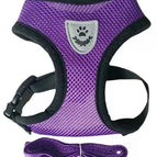 PURPLE / XL