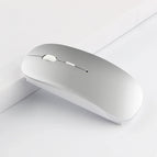 2.4Gsilvery 1