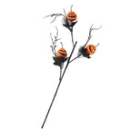 Pumpkin cuttings