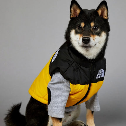 The Dog Face Toys Dog Clothes Cute Accessories Wholesale Birthday Gifts Pet Supplies Trendy Brand Thermal Assault Suit Presents