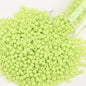 12Grams/Tube 2mm Metallic Seed Beads Japanese Round Glass Seedbeads For DIY Needlework Dress Adornment Sewing 1200pcs