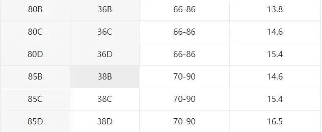 1 Set Elegant Erotic Lace Embroidery Breathable Fabric Lingeries : Push-Up Bra, Low Waist Sheer Panty - Ultimate Valentine's Day