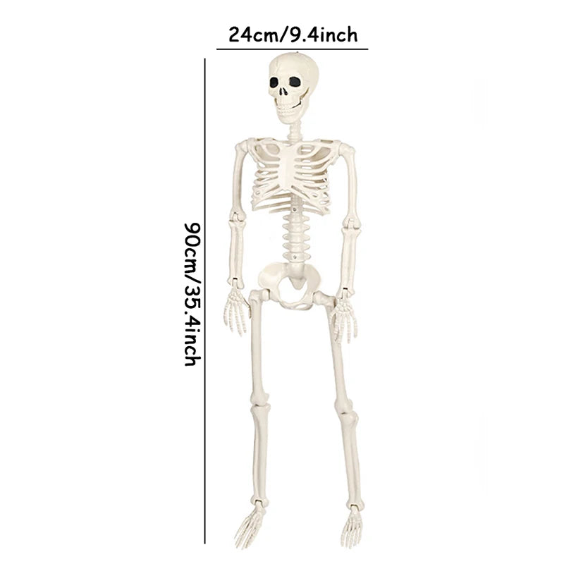 40/90cm Halloween Skeletons Fake Full Body Skull Bones Movable Halloween Party Decor for Home Bar Haunted House Horror Props