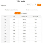 1 Set Elegant Erotic Lace Embroidery Breathable Fabric Lingeries : Push-Up Bra, Low Waist Sheer Panty - Ultimate Valentine's Day