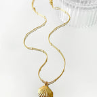 Scallop Shaped