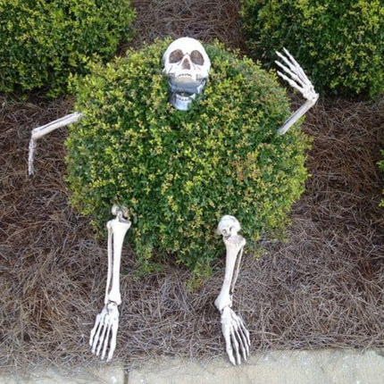Halloween decor Skeleton Stakes Halloween Realistic Skull Skeleton Head Human Hand Arms for Halloween Party Home Garden Lawn